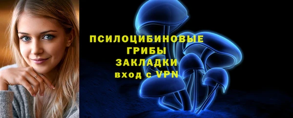 хмурый Куйбышев