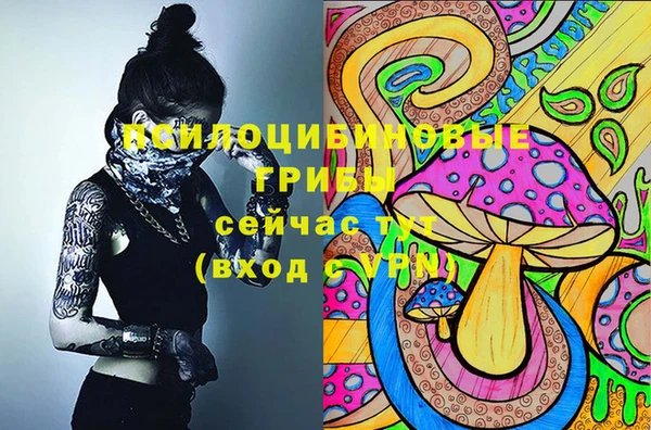 СК Кулебаки