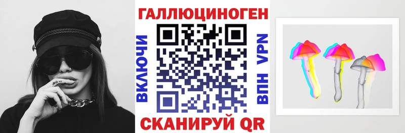 наркотики  Мирный  Галлюциногенные грибы Psilocybe 