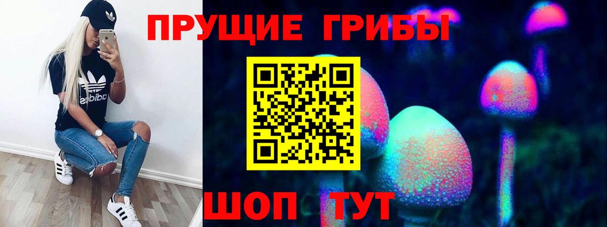 Псилоцибиновые грибы Cubensis  Вход с VPN  Мирный 